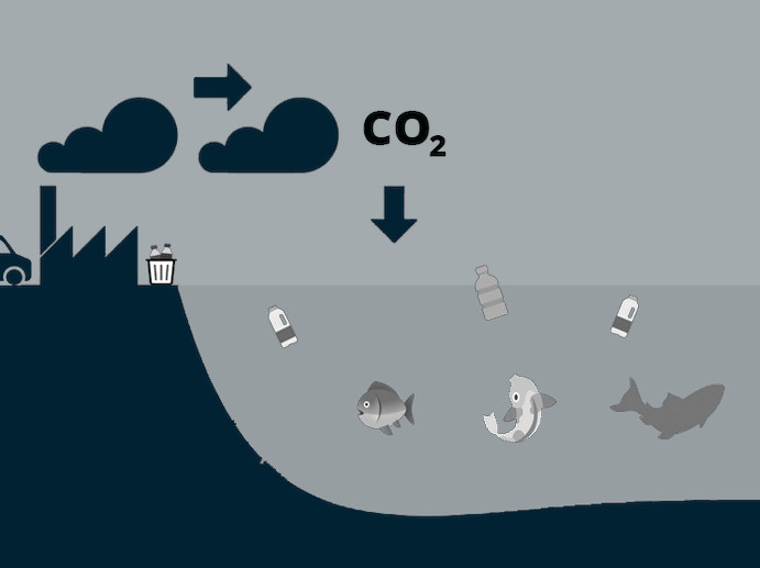 Illustration of ocean pollution and marine life